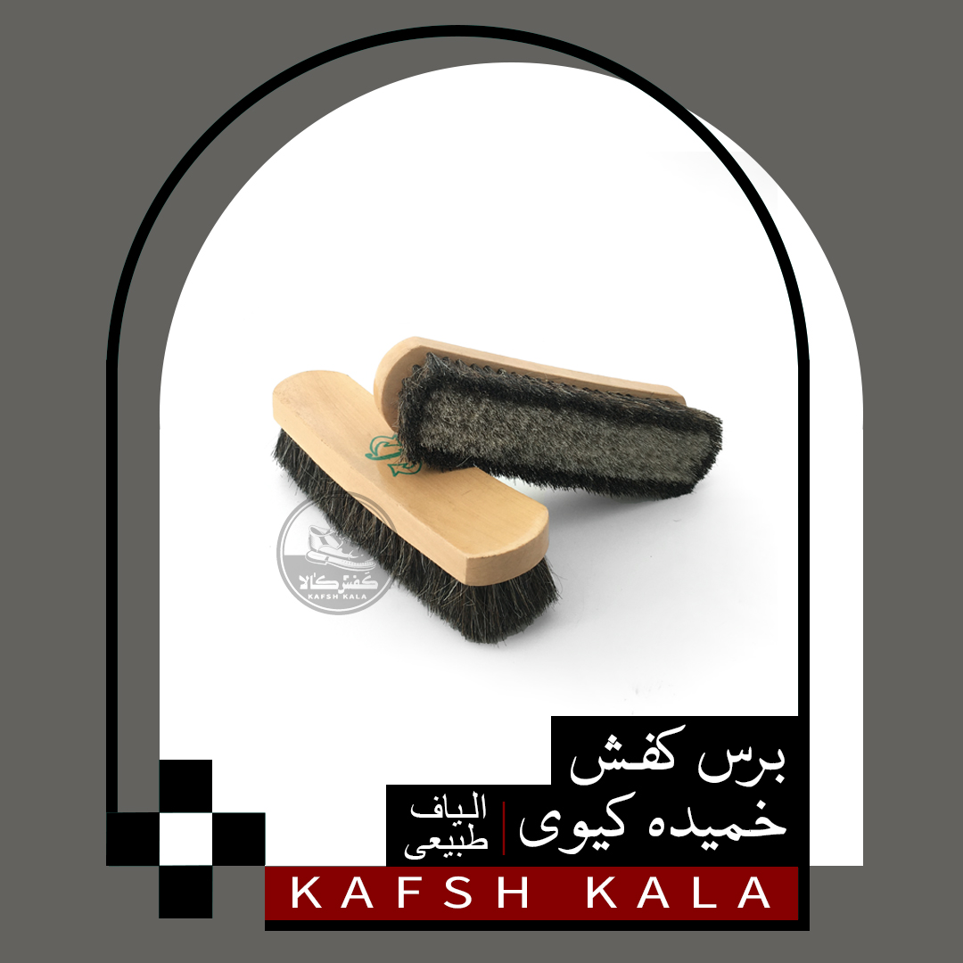 برس کفش خمیده کیوی