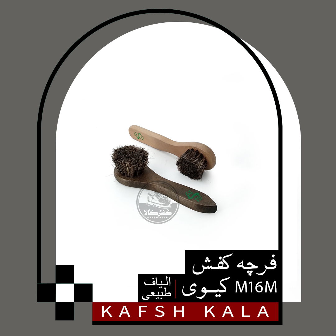 فرچه کفش M16M